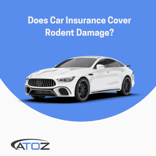 Does Car Insurance Cover Rodent Damage?